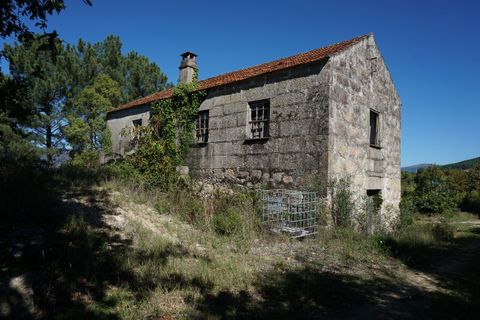Farm i Melgaco, Viana do Castelo, Melgaco - € 330.000 | Ref: SF-SAFTI:003970 - foto 6
