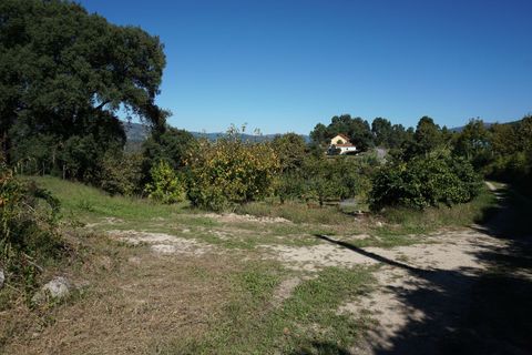 Farm i Melgaco, Viana do Castelo, Melgaco - € 330.000 | Ref: SF-SAFTI:003970 - foto 7