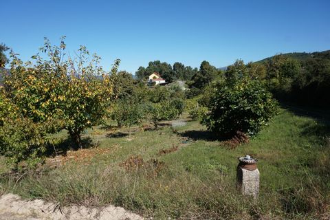 Farm i Melgaco, Viana do Castelo, Melgaco - € 330.000 | Ref: SF-SAFTI:003970 - foto 8