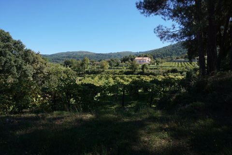 Farm i Melgaco, Viana do Castelo, Melgaco - € 330.000 | Ref: SF-SAFTI:003970 - foto 10