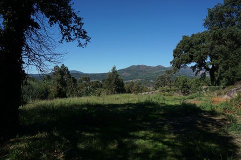 Farm i Melgaco, Viana do Castelo, Melgaco - € 330.000 | Ref: SF-SAFTI:003970 - foto 12