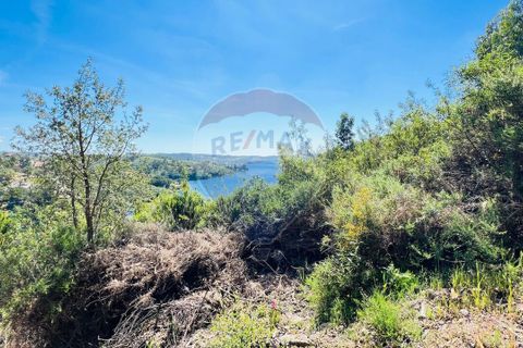 Helårsgrund i Tomar, Santarem, Tomar - € 50.500 | Ref: RR-121161094-100 - foto 6