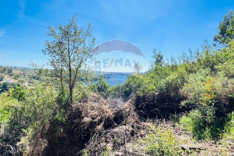 Helårsgrund i Tomar, Santarem, Tomar - € 50.500 | Ref: RR-121161094-100 - foto 7