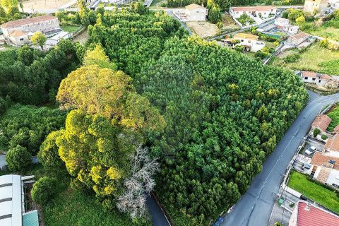 Helårsgrund i Mozelos, Aveiro, Mozelos - € 495.000 | Ref: PE-123751391-181 - foto 1