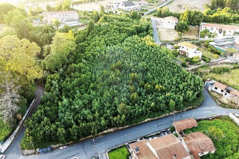 Helårsgrund i Mozelos, Aveiro, Mozelos - € 495.000 | Ref: PE-123751391-181 - foto 2