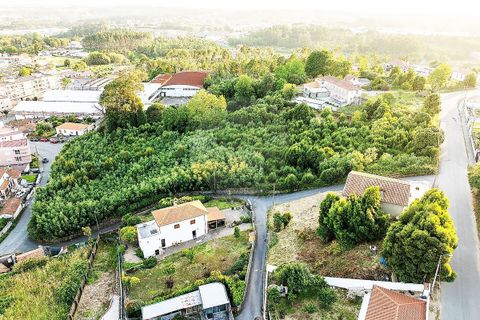 Helårsgrund i Mozelos, Aveiro, Mozelos - € 495.000 | Ref: PE-123751391-181 - foto 3