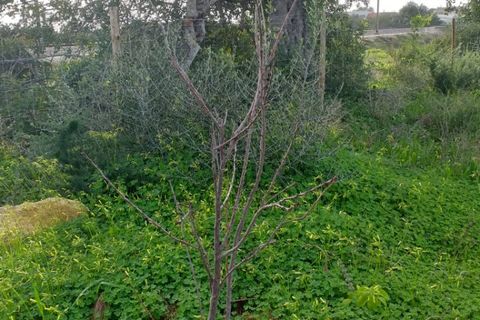 Helårsgrund i Albufeira, Faro, Albufeira - € 450.000 | Ref: VV-573964 - foto 12