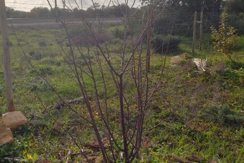 Helårsgrund i Albufeira, Faro, Albufeira - € 450.000 | Ref: VV-573964 - foto 23