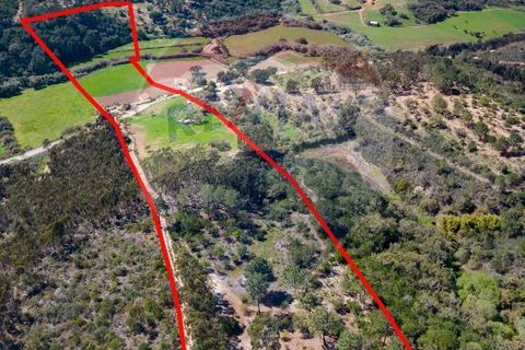 Villa i Sagres, Faro, Sagres - € 950.000 | Ref: ON-123041060-5 - foto 11