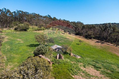 Villa i Sagres, Faro, Sagres - € 950.000 | Ref: ON-123041060-5 - foto 16