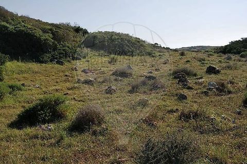 Helårsgrund i Sagres, Faro, Sagres - € 15.000 | Ref: ON-123041058-21 - foto 3