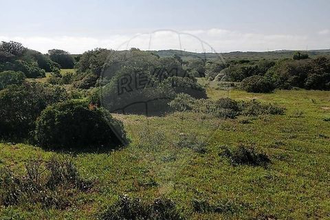 Helårsgrund i Sagres, Faro, Sagres - € 15.000 | Ref: ON-123041058-21 - foto 4