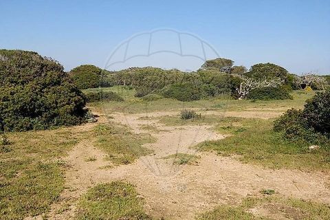 Helårsgrund i Sagres, Faro, Sagres - € 15.000 | Ref: ON-123041058-21 - foto 5