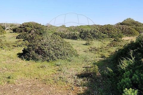 Helårsgrund i Sagres, Faro, Sagres - € 15.000 | Ref: ON-123041058-21 - foto 6