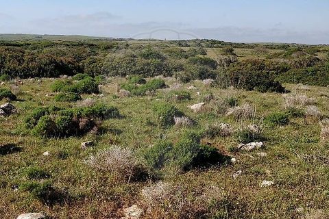 Helårsgrund i Sagres, Faro, Sagres - € 15.000 | Ref: ON-123041058-21 - foto 7