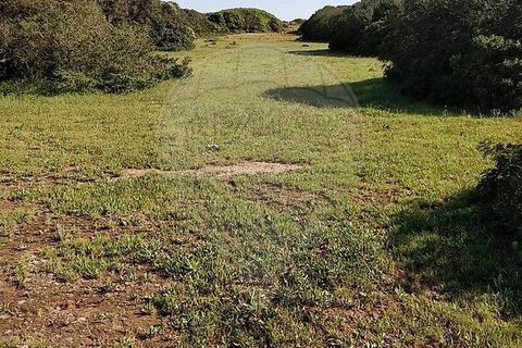 Helårsgrund i Sagres, Faro, Sagres - € 15.000 | Ref: ON-123041058-21 - foto 8