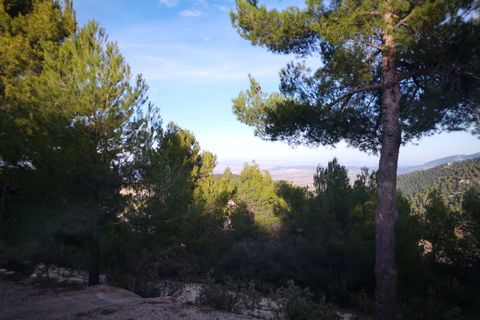 Byhus i Mula, Murcia, Mula - € 221.000 | Ref: CAS_1252 - foto 5