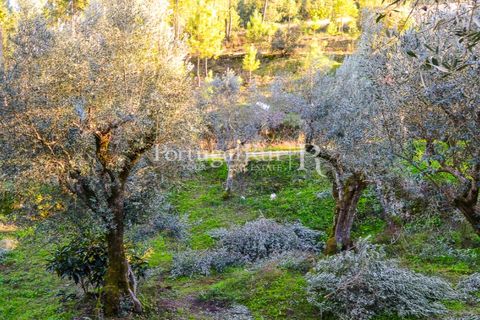 Masia a Proenca-a-Nova, Castelo Branco, Proenca-a-Nova - € 50.000 | Ref: SA912 - foto 5