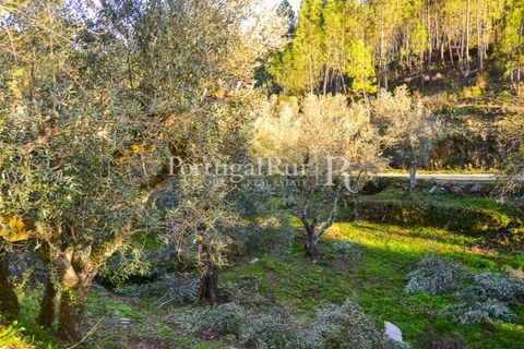 Masia a Proenca-a-Nova, Castelo Branco, Proenca-a-Nova - € 50.000 | Ref: SA912 - foto 6