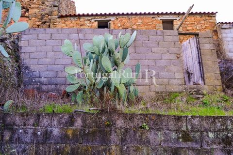 Masia a Proenca-a-Nova, Castelo Branco, Proenca-a-Nova - € 50.000 | Ref: SA912 - foto 9