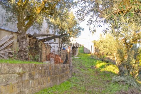 Masia a Proenca-a-Nova, Castelo Branco, Proenca-a-Nova - € 50.000 | Ref: SA912 - foto 10