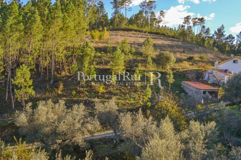 Masia a Proenca-a-Nova, Castelo Branco, Proenca-a-Nova - € 50.000 | Ref: SA912 - foto 11