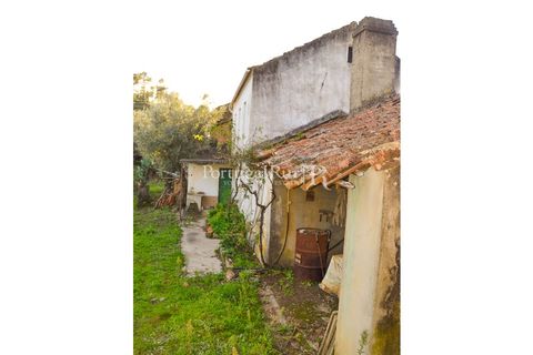 Masia a Proenca-a-Nova, Castelo Branco, Proenca-a-Nova - € 50.000 | Ref: SA912 - foto 12