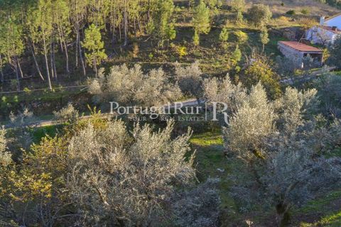 Masia a Proenca-a-Nova, Castelo Branco, Proenca-a-Nova - € 50.000 | Ref: SA912 - foto 13