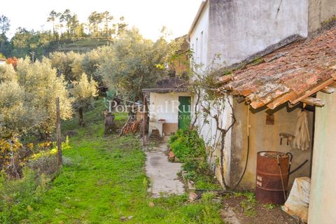 Masia a Proenca-a-Nova, Castelo Branco, Proenca-a-Nova - € 50.000 | Ref: SA912 - foto 14