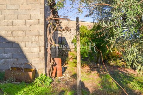 Masia a Proenca-a-Nova, Castelo Branco, Proenca-a-Nova - € 50.000 | Ref: SA912 - foto 16