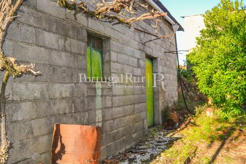 Masia a Proenca-a-Nova, Castelo Branco, Proenca-a-Nova - € 50.000 | Ref: SA912 - foto 17
