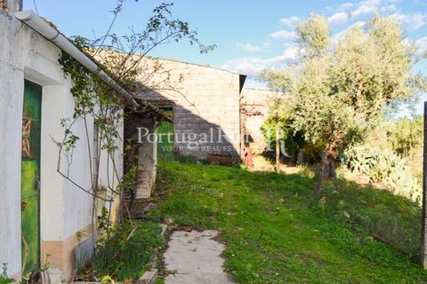 Masia a Proenca-a-Nova, Castelo Branco, Proenca-a-Nova - € 50.000 | Ref: SA912 - foto 42