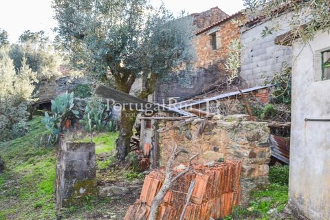 Masia a Proenca-a-Nova, Castelo Branco, Proenca-a-Nova - € 50.000 | Ref: SA912 - foto 43