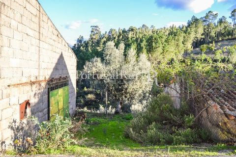 Masia a Proenca-a-Nova, Castelo Branco, Proenca-a-Nova - € 50.000 | Ref: SA912 - foto 46