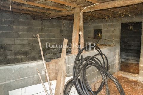 Masia a Proenca-a-Nova, Castelo Branco, Proenca-a-Nova - € 50.000 | Ref: SA912 - foto 49