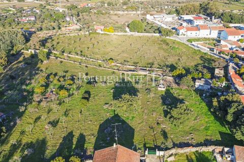 Terra a Alcains, Castelo Branco, Alcains - € 150.000 | Ref: IM208 - foto 5