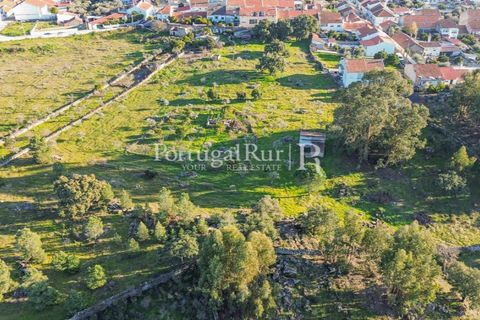 Terra a Alcains, Castelo Branco, Alcains - € 150.000 | Ref: IM208 - foto 7