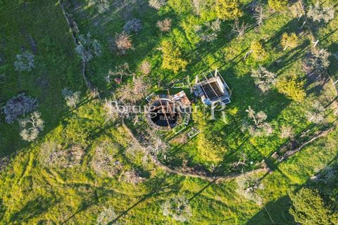 Terra a Alcains, Castelo Branco, Alcains - € 150.000 | Ref: IM208 - foto 2