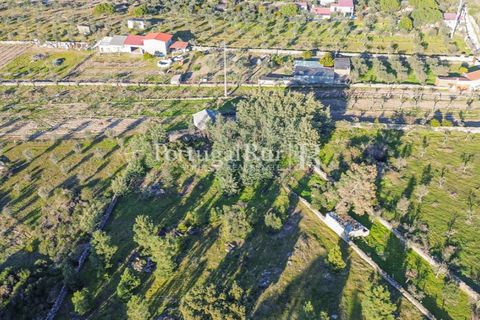 Terra a Alcains, Castelo Branco, Alcains - € 150.000 | Ref: IM208 - foto 9