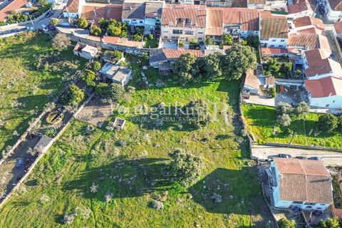 Terra a Alcains, Castelo Branco, Alcains - € 150.000 | Ref: IM208 - foto 10