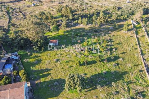 Terra a Alcains, Castelo Branco, Alcains - € 150.000 | Ref: IM208 - foto 11