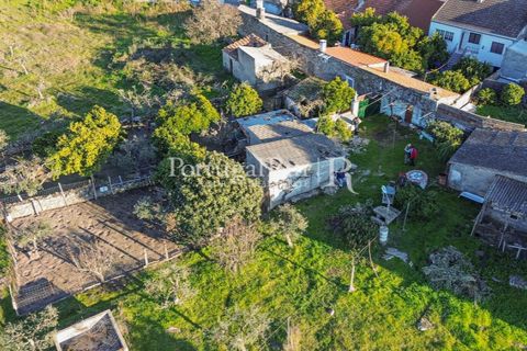 Terra a Alcains, Castelo Branco, Alcains - € 150.000 | Ref: IM208 - foto 12