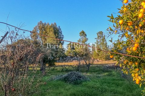 Terra a Alcains, Castelo Branco, Alcains - € 150.000 | Ref: IM208 - foto 13