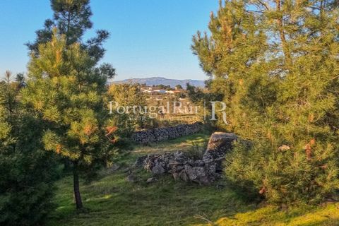 Terra a Alcains, Castelo Branco, Alcains - € 150.000 | Ref: IM208 - foto 14