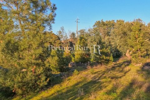 Terra a Alcains, Castelo Branco, Alcains - € 150.000 | Ref: IM208 - foto 15