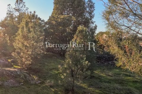 Terra a Alcains, Castelo Branco, Alcains - € 150.000 | Ref: IM208 - foto 16