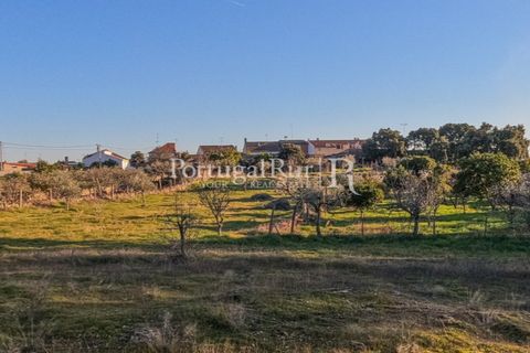 Terra a Alcains, Castelo Branco, Alcains - € 150.000 | Ref: IM208 - foto 17