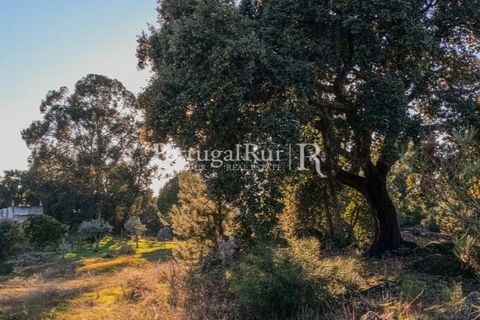 Terra a Alcains, Castelo Branco, Alcains - € 150.000 | Ref: IM208 - foto 18