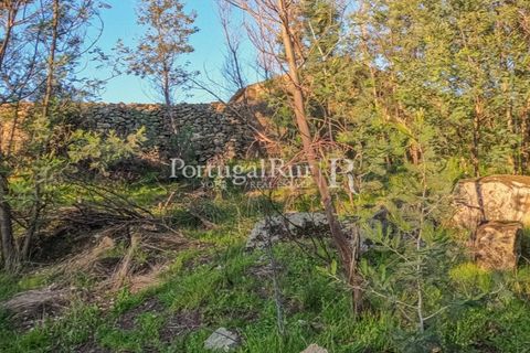 Terra a Alcains, Castelo Branco, Alcains - € 150.000 | Ref: IM208 - foto 19