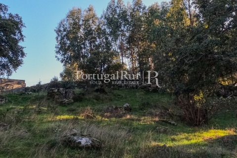 Terra a Alcains, Castelo Branco, Alcains - € 150.000 | Ref: IM208 - foto 20